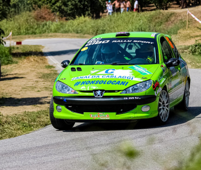 Peugeot 206 RC