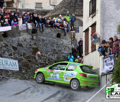 Peugeot 206 RC