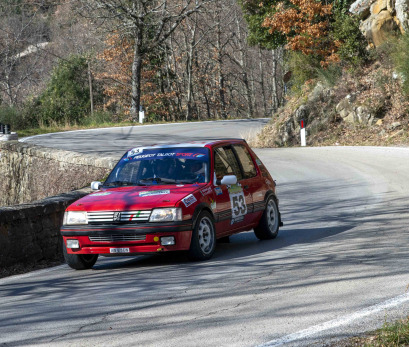 Peugeot 205